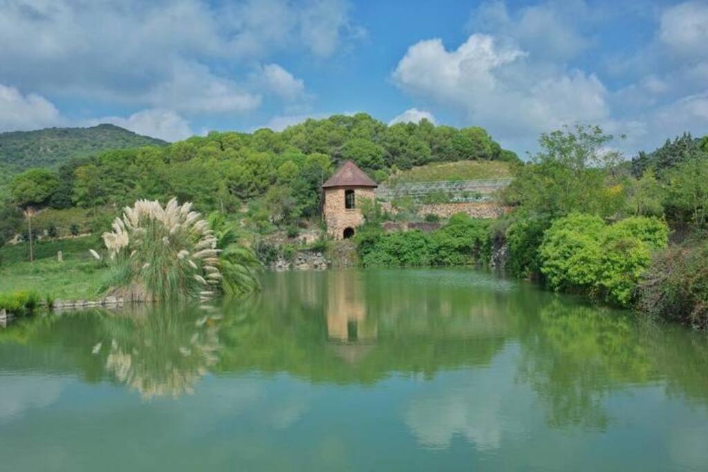 Romantic Stay In Grand Setting アレーリャ エクステリア 写真
